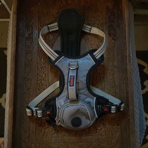 Kong full body dog harness - Green Lg